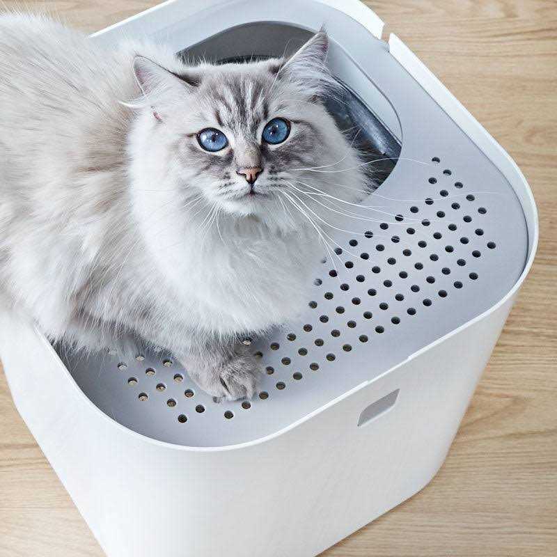 Litter Box S6118
