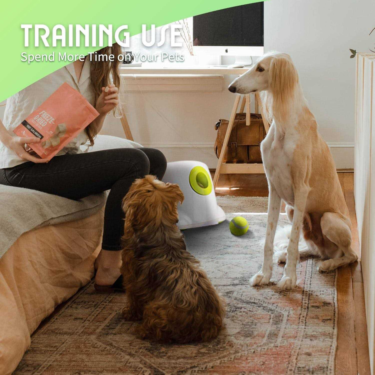Automatic Ball Launcher for Dogs with 3 Tennis Balls A507424