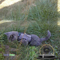 Cat Tie Out M37804