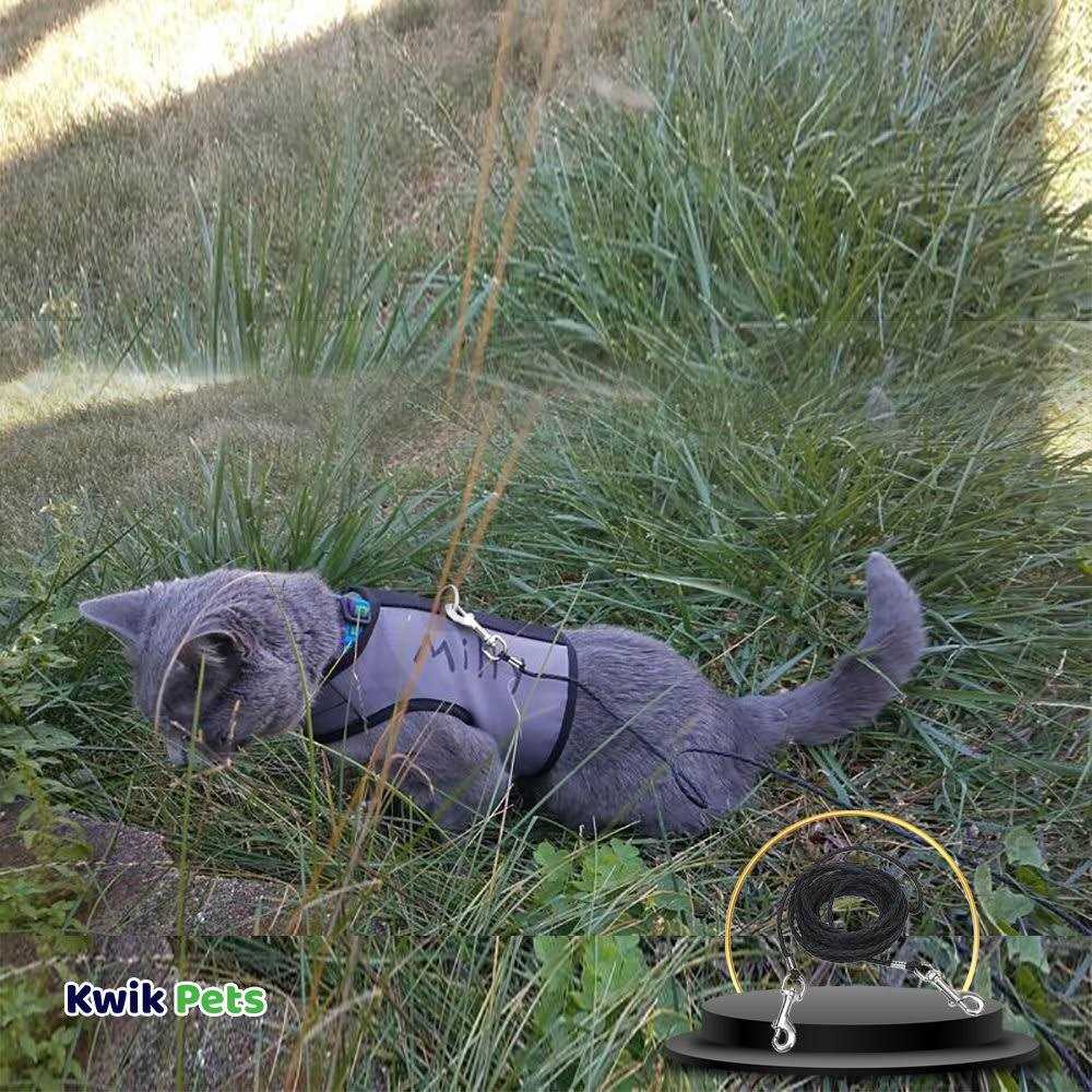 Cat Tie Out M37804