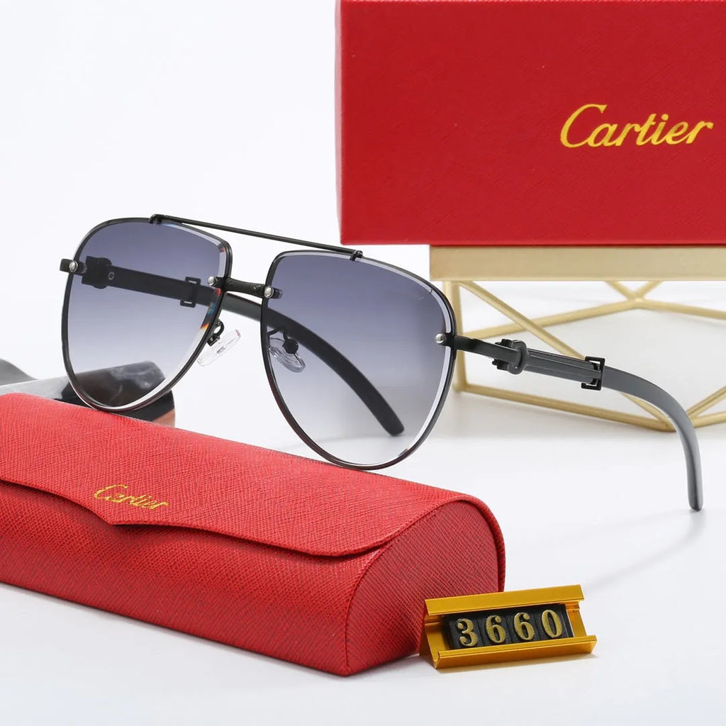 CAR Polarized Sunglasses W2271