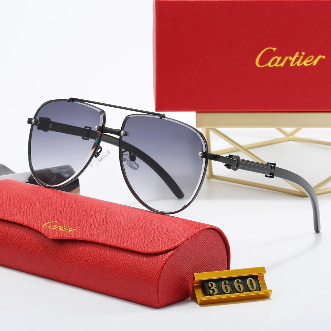 CAR Polarized Sunglasses W2271