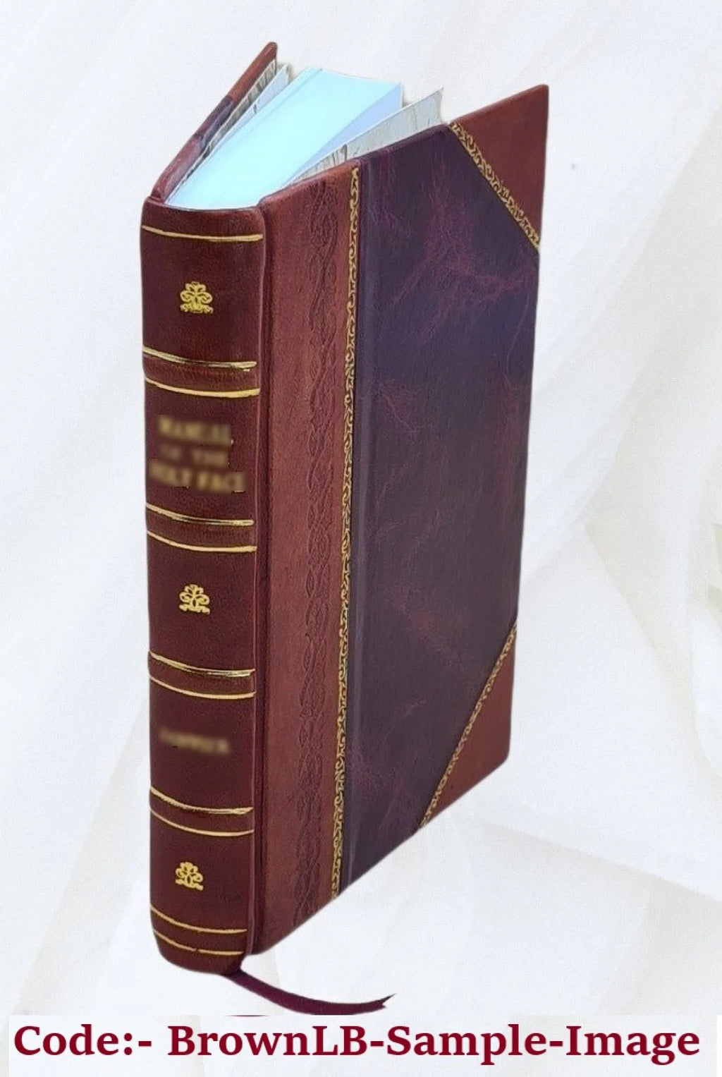 Leather Bound Book O993