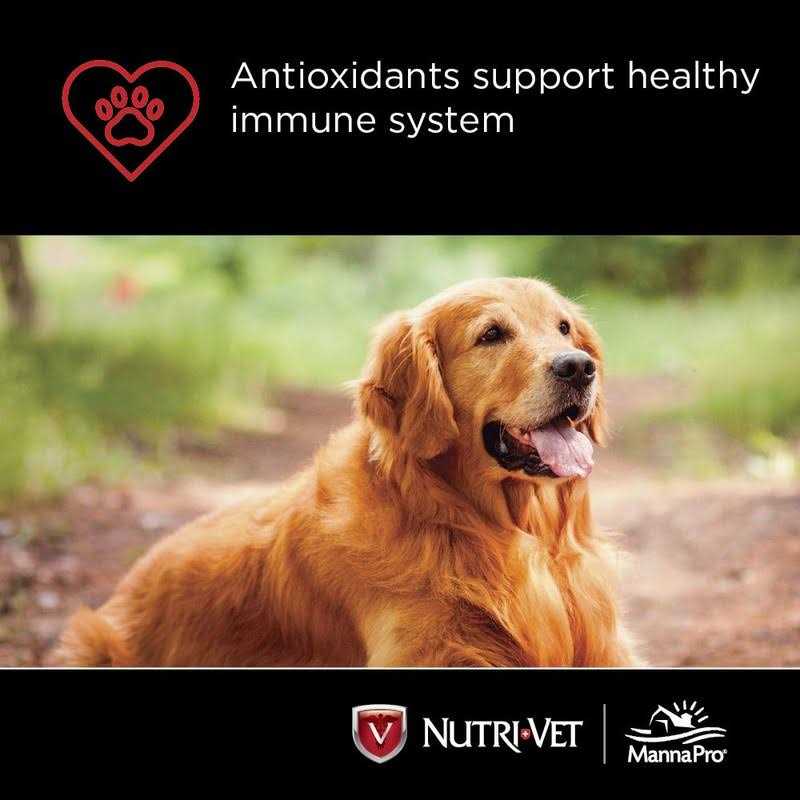 Chewables for Dogs W859804