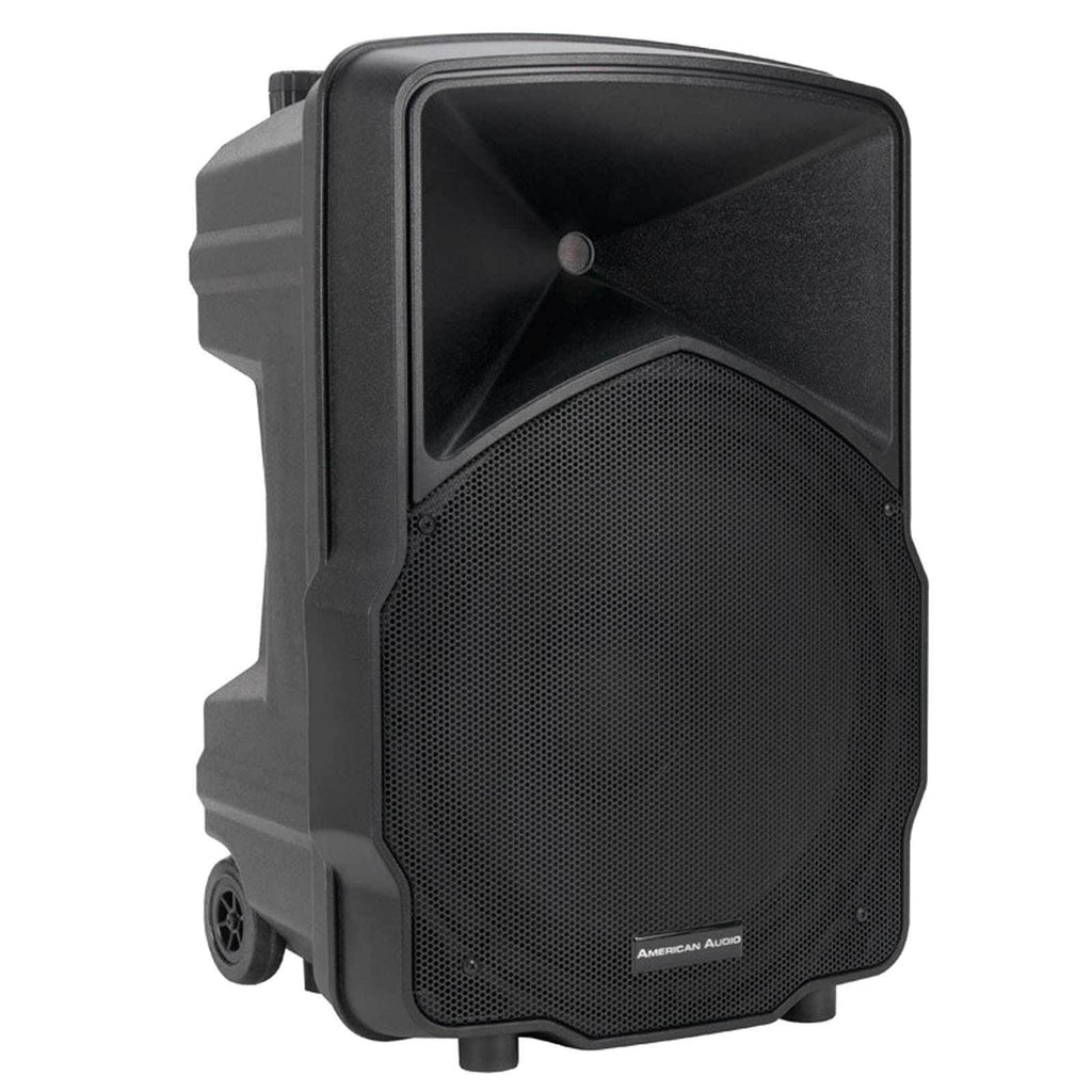2-way PA Speaker W8638
