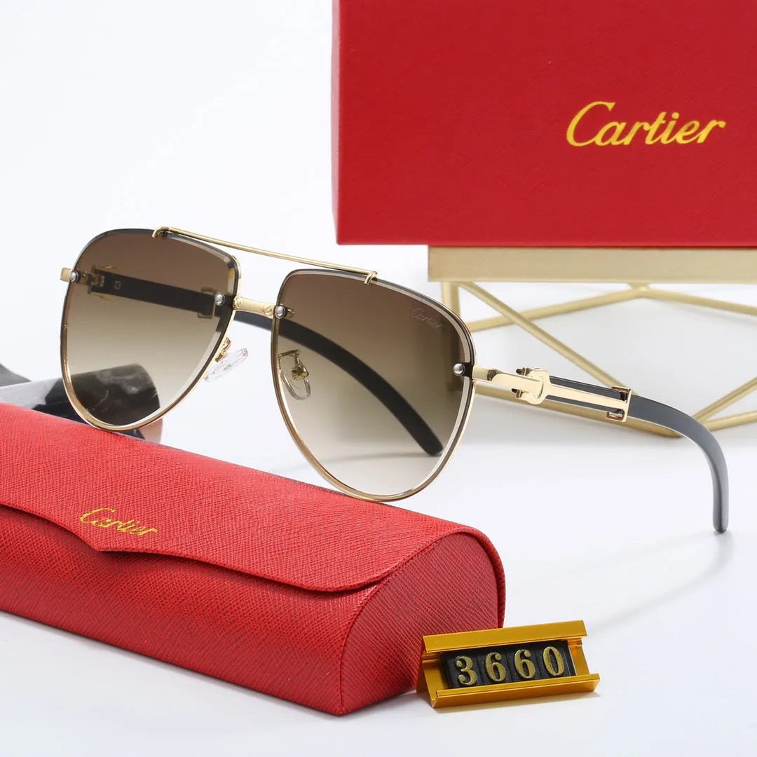 CAR Polarized Sunglasses W2271