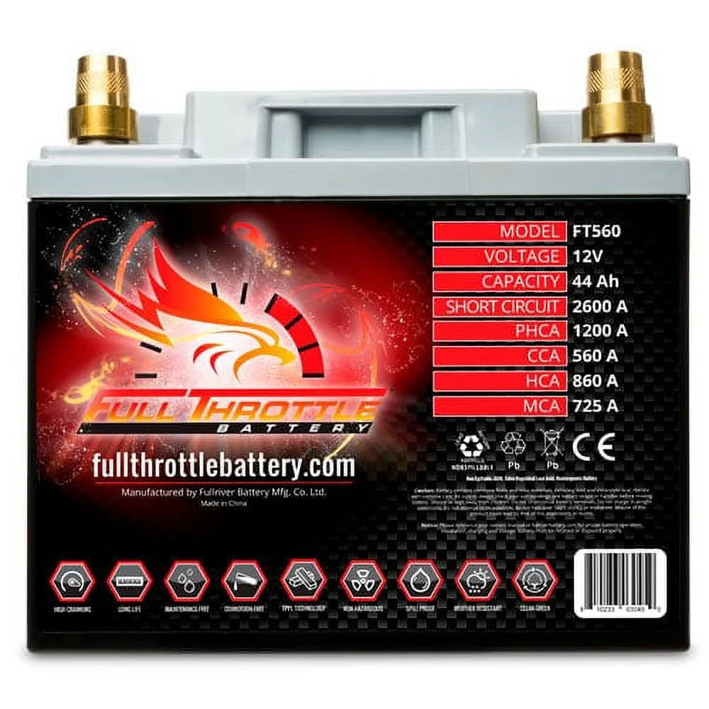 AGM Battery W595