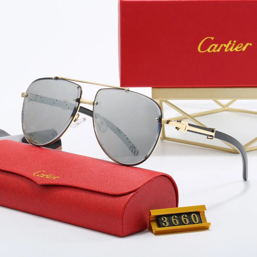 CAR Polarized Sunglasses W2271