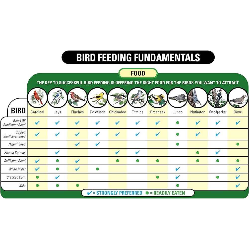 Safflower Seed Wild Bird Food R184485