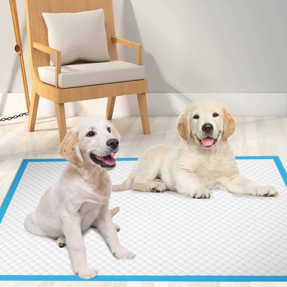 Extra Large Dog Pee Pads Super Absorbent & Leak-Proof Z983116