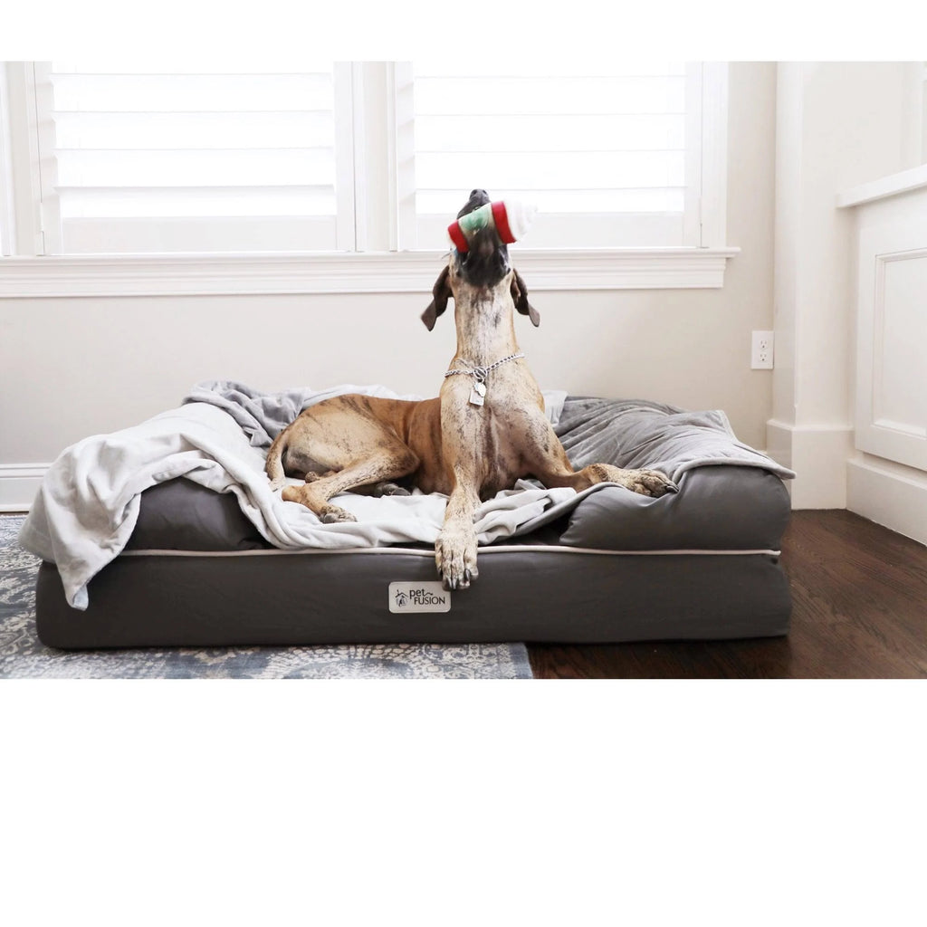 Solid Memory Foam Dog & Cat Bed, Gray, Jumbo Q747498