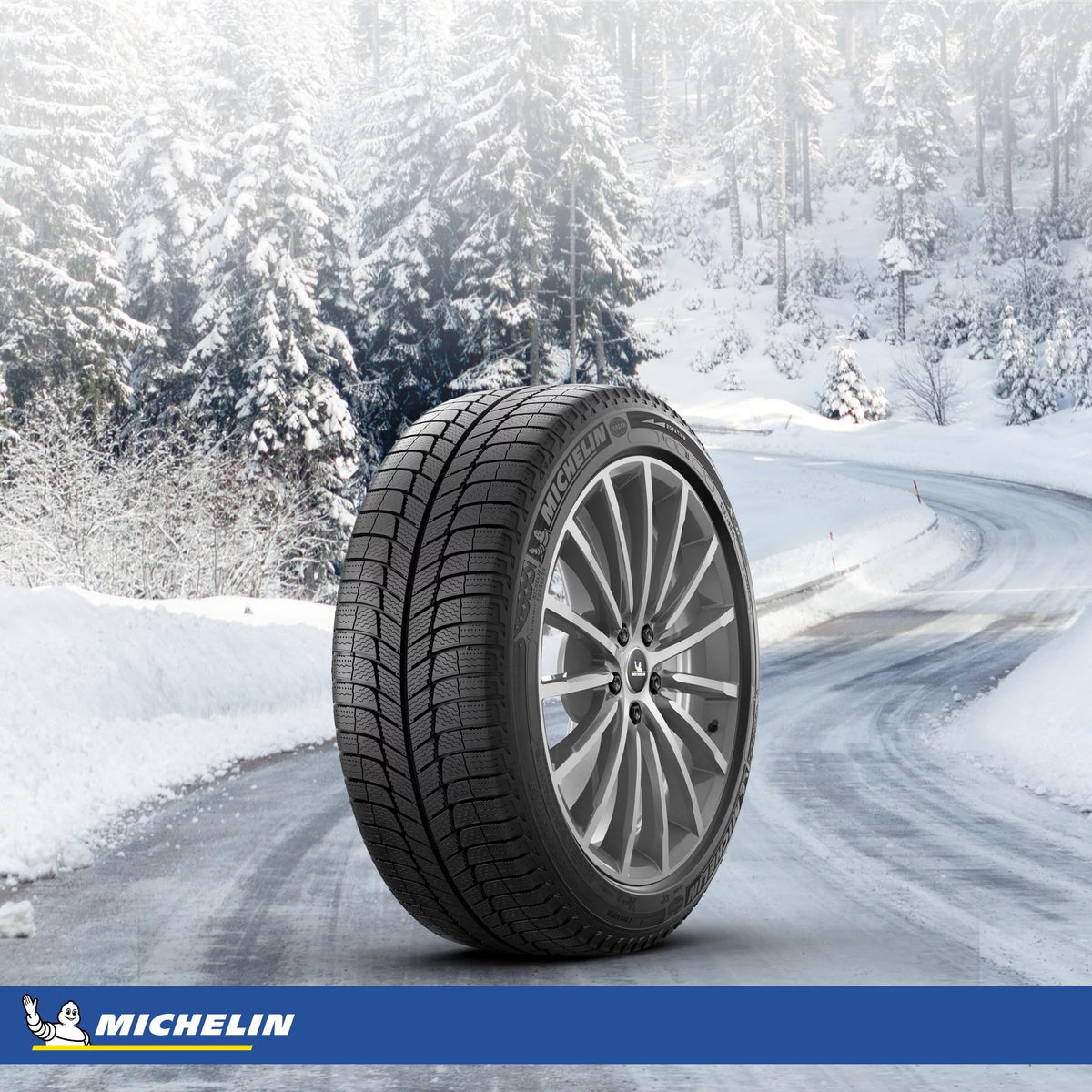 Winter Tires T1891