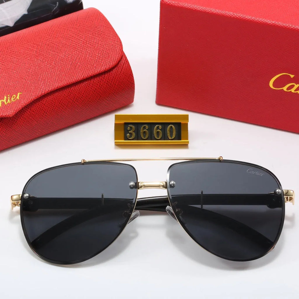 CAR Polarized Sunglasses W2271