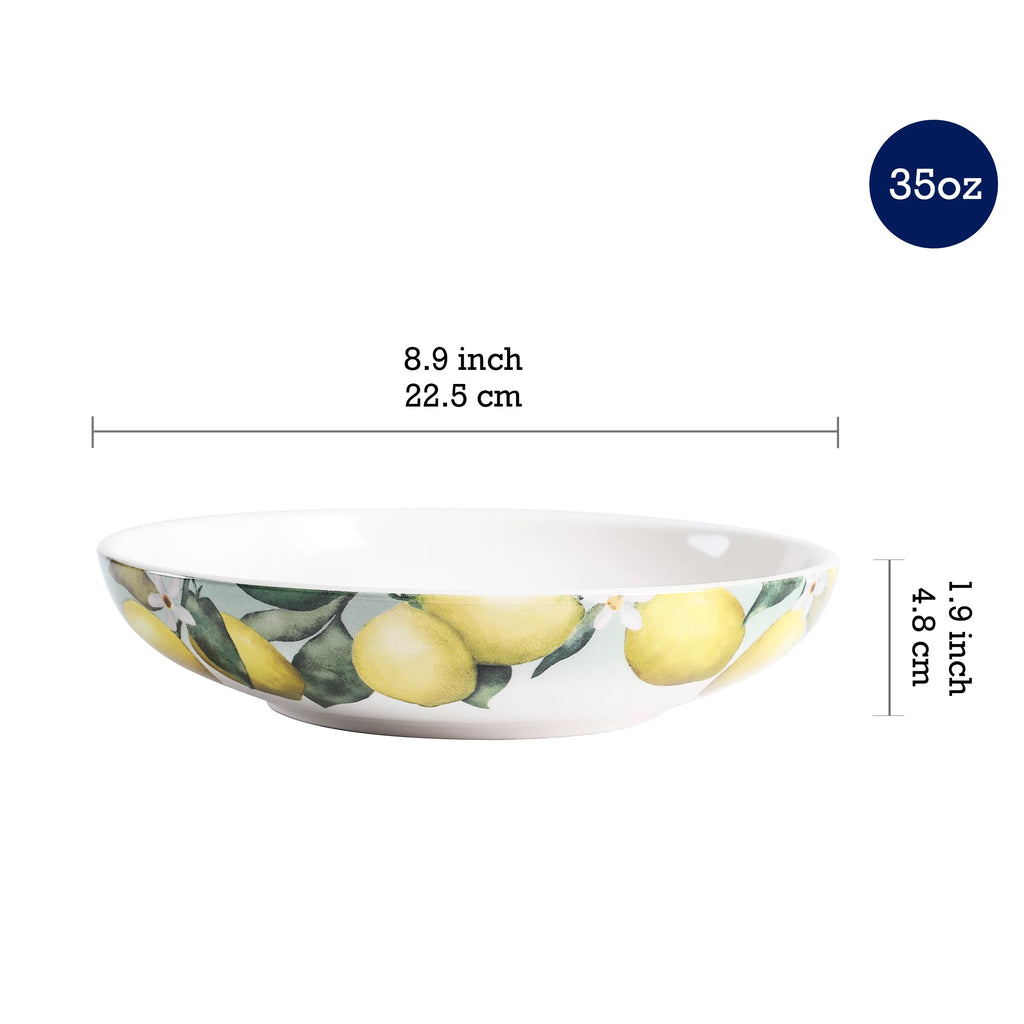 Ceramic Pasta Bowl Set of 5 B760