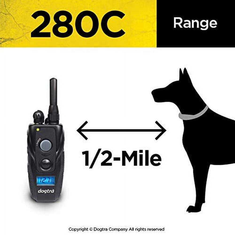 Dog Remote Training Collar J6699