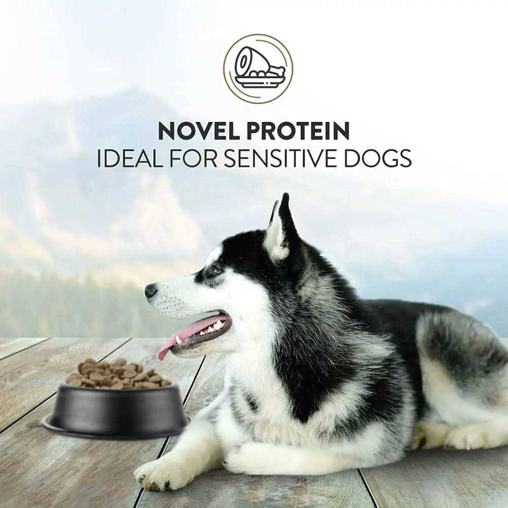 Venison Dry Dog Food S673