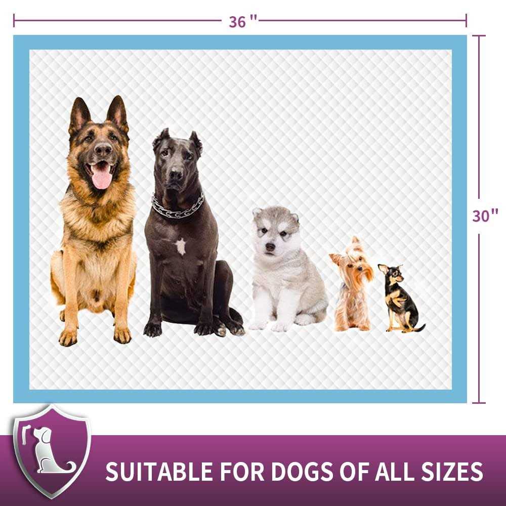 Extra Large Dog Pee Pads Super Absorbent & Leak-Proof Z983116