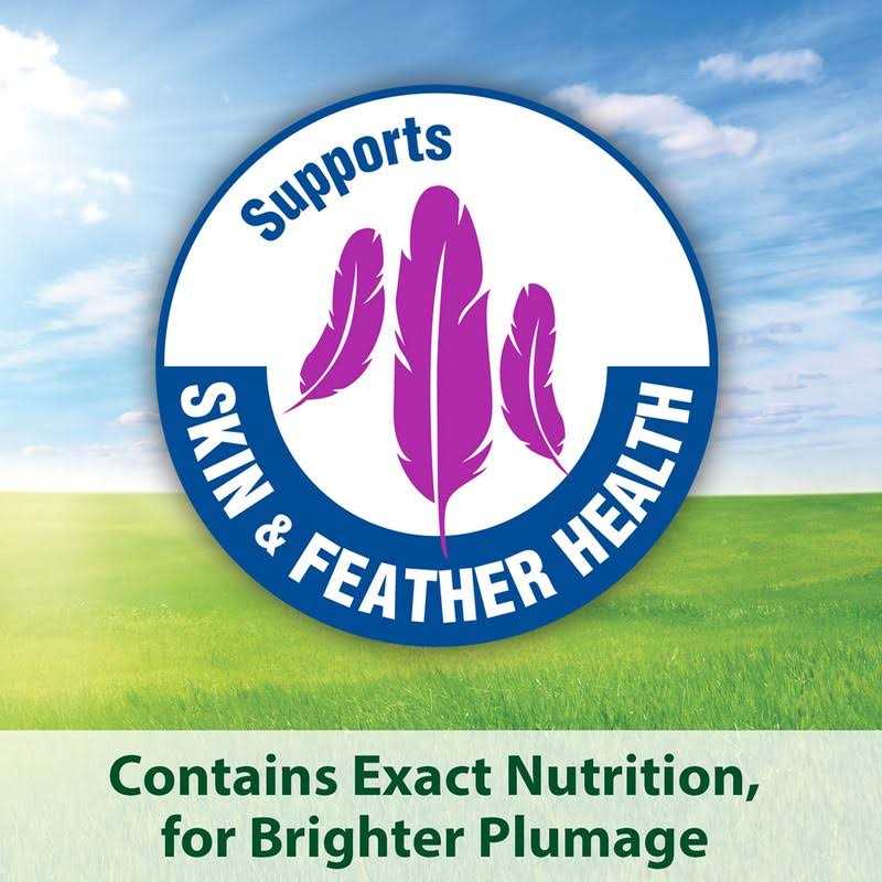 Parrot Food Z629924