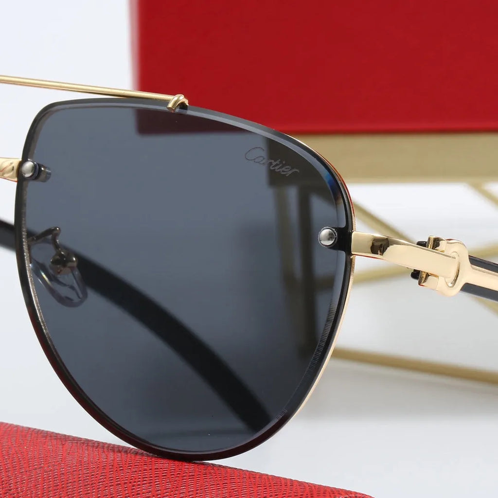 CAR Polarized Sunglasses W2271
