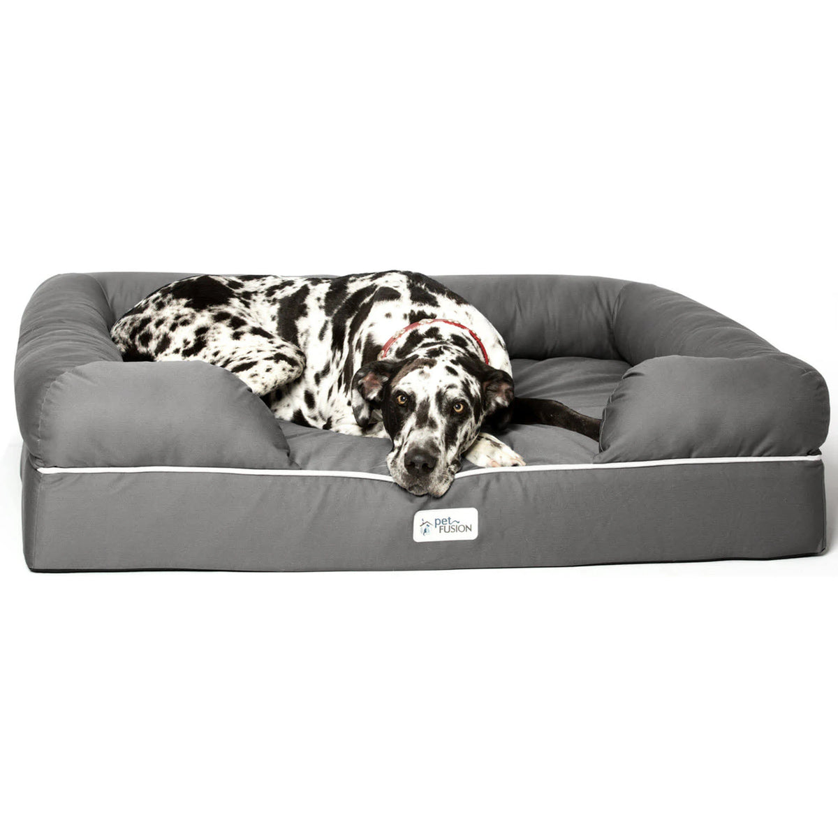 Solid Memory Foam Dog & Cat Bed, Gray, Jumbo Q747498