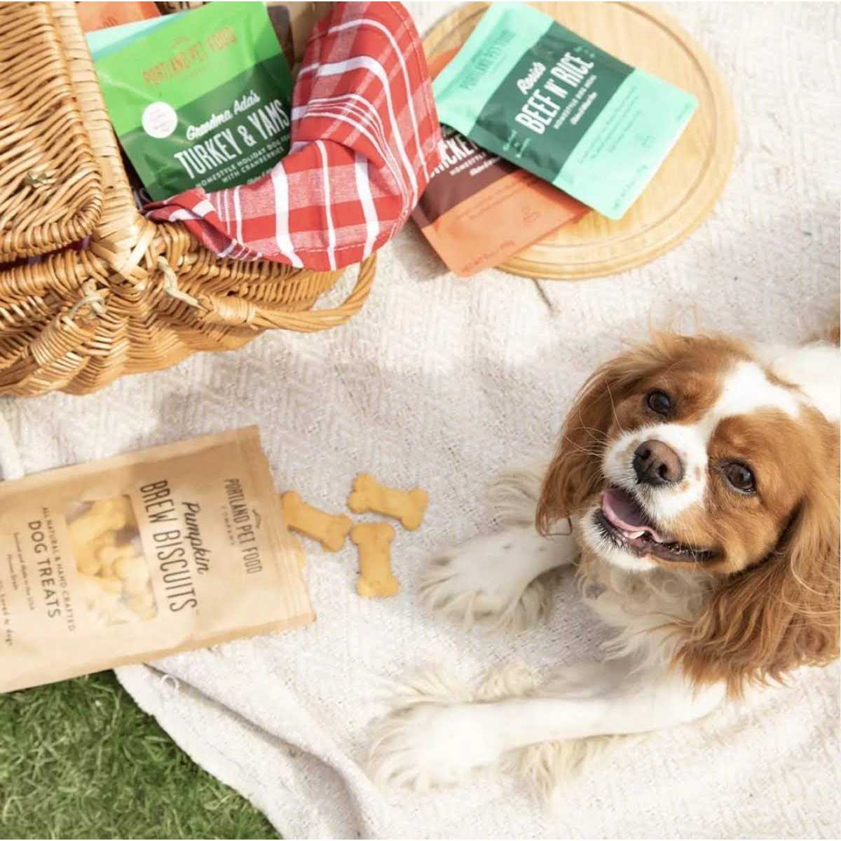 Homestyle Wet Dog Food Topper Q6210