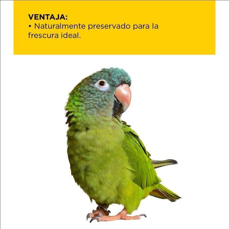 Parrot Food Z629924