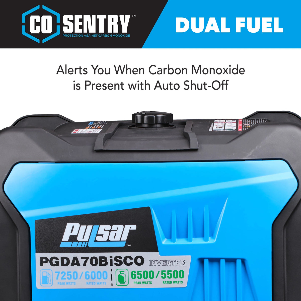 7,250 Watt Dual Fuel Inverter Generator with Remote Start N268104