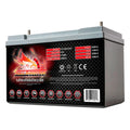 Group 31T AGM Battery R561