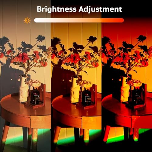 21 Color Changing LED Sunset Lamp Projector Q934597