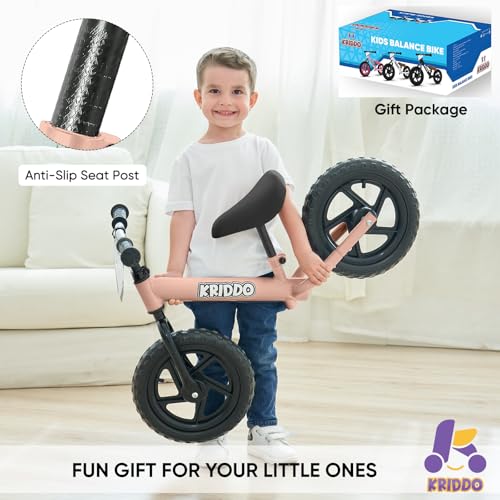 12 Inch Toddler Balance Bike with Customize Plate, Black C7146
