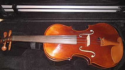 Advanced Viola 15.5" I59823