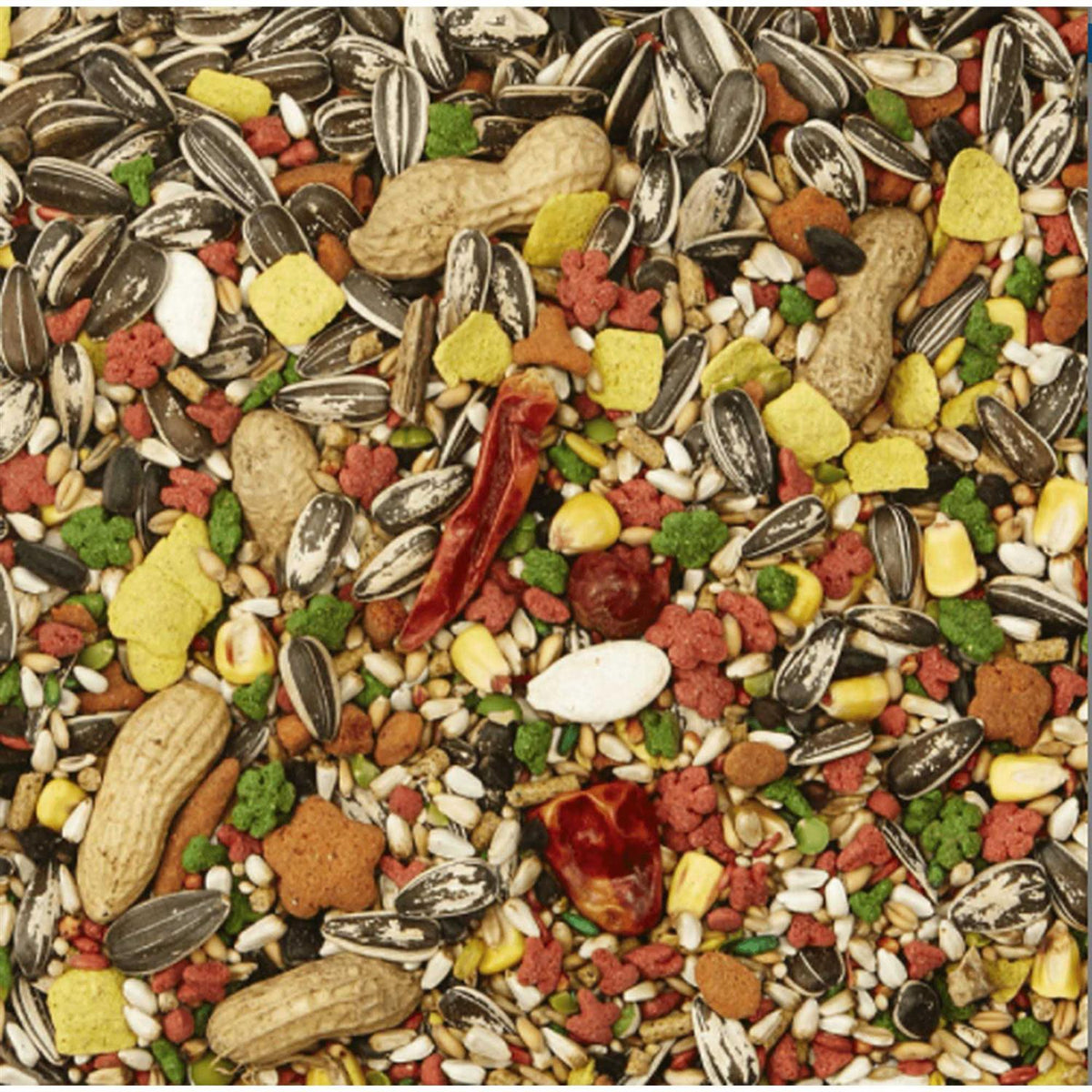 Parrot Food Z629924