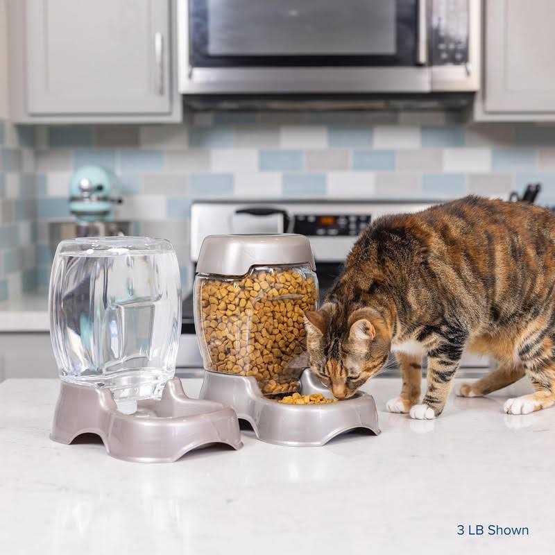 Pet Feeder Q129362